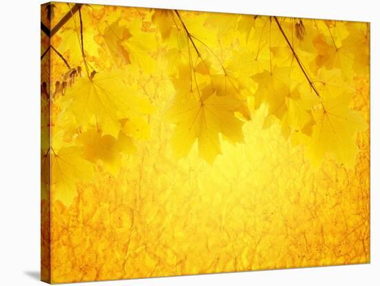 Autumn Background-frenta-Stretched Canvas