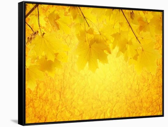 Autumn Background-frenta-Framed Stretched Canvas