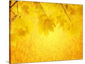 Autumn Background-frenta-Stretched Canvas