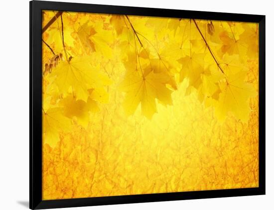 Autumn Background-frenta-Framed Art Print