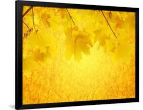 Autumn Background-frenta-Framed Art Print