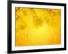 Autumn Background-frenta-Framed Art Print