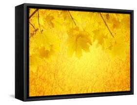 Autumn Background-frenta-Framed Stretched Canvas