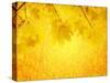 Autumn Background-frenta-Stretched Canvas