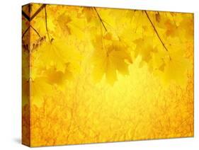 Autumn Background-frenta-Stretched Canvas