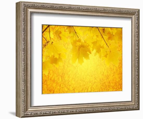 Autumn Background-frenta-Framed Art Print