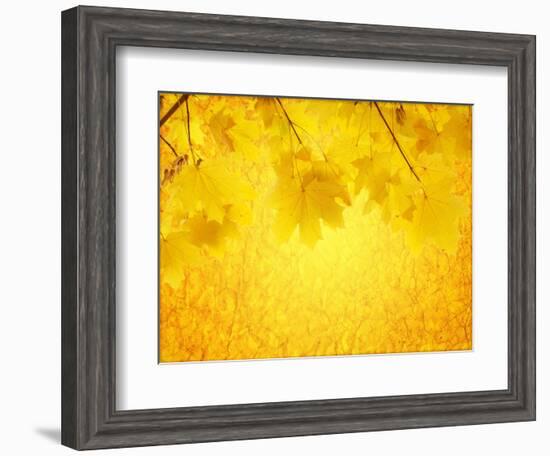 Autumn Background-frenta-Framed Art Print