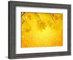 Autumn Background-frenta-Framed Art Print