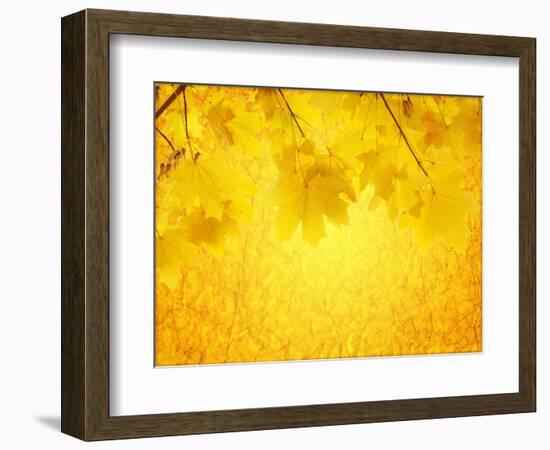 Autumn Background-frenta-Framed Art Print