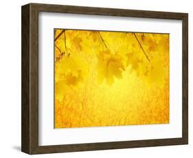 Autumn Background-frenta-Framed Art Print