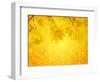 Autumn Background-frenta-Framed Art Print