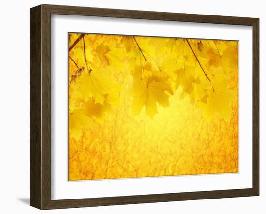 Autumn Background-frenta-Framed Art Print