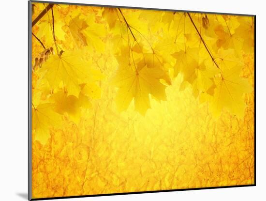 Autumn Background-frenta-Mounted Art Print