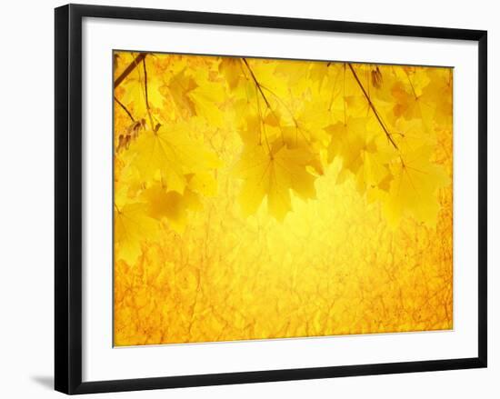 Autumn Background-frenta-Framed Art Print