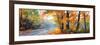 Autumn Backlight-Graham Gercken-Framed Art Print