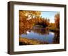 Autumn Beauty-Ruth Palmer-Framed Art Print