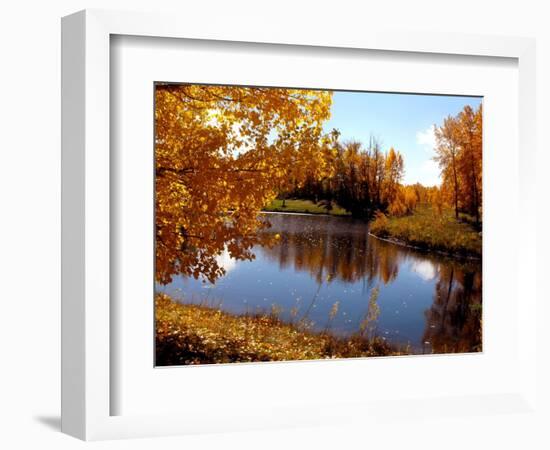 Autumn Beauty-Ruth Palmer-Framed Art Print