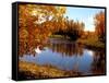 Autumn Beauty-Ruth Palmer-Framed Stretched Canvas