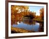 Autumn Beauty-Ruth Palmer-Framed Art Print