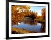 Autumn Beauty-Ruth Palmer-Framed Art Print