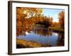 Autumn Beauty-Ruth Palmer-Framed Art Print