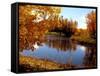 Autumn Beauty-Ruth Palmer-Framed Stretched Canvas
