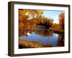 Autumn Beauty-Ruth Palmer-Framed Art Print