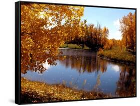 Autumn Beauty-Ruth Palmer-Framed Stretched Canvas