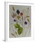 Autumn Berries-Sarah Thompson-Engels-Framed Giclee Print