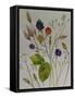 Autumn Berries-Sarah Thompson-Engels-Framed Stretched Canvas