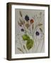 Autumn Berries-Sarah Thompson-Engels-Framed Giclee Print