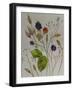 Autumn Berries-Sarah Thompson-Engels-Framed Giclee Print