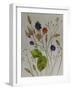 Autumn Berries-Sarah Thompson-Engels-Framed Giclee Print