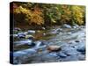 Autumn Beside the Cold River, Savoy State Forest Massachusetts, USA-Jaynes Gallery-Stretched Canvas