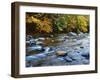 Autumn Beside the Cold River, Savoy State Forest Massachusetts, USA-Jaynes Gallery-Framed Premium Photographic Print