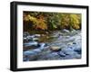 Autumn Beside the Cold River, Savoy State Forest Massachusetts, USA-Jaynes Gallery-Framed Premium Photographic Print