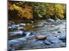 Autumn Beside the Cold River, Savoy State Forest Massachusetts, USA-Jaynes Gallery-Mounted Premium Photographic Print