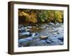 Autumn Beside the Cold River, Savoy State Forest Massachusetts, USA-Jaynes Gallery-Framed Photographic Print