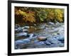 Autumn Beside the Cold River, Savoy State Forest Massachusetts, USA-Jaynes Gallery-Framed Photographic Print