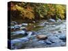 Autumn Beside the Cold River, Savoy State Forest Massachusetts, USA-Jaynes Gallery-Stretched Canvas