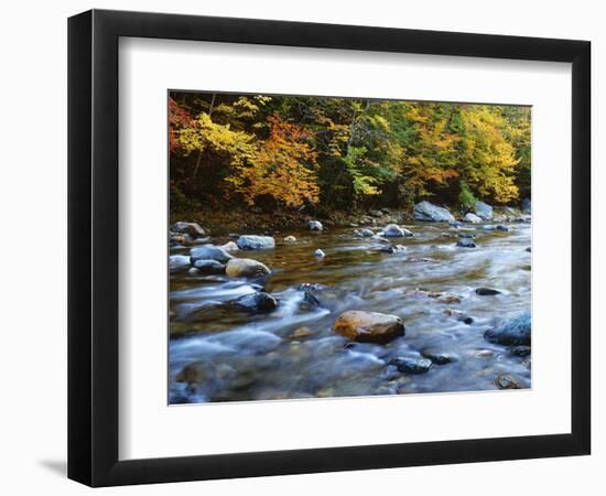 Autumn Beside the Cold River, Savoy State Forest Massachusetts, USA-Jaynes Gallery-Framed Photographic Print