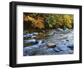 Autumn Beside the Cold River, Savoy State Forest Massachusetts, USA-Jaynes Gallery-Framed Photographic Print