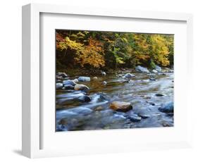 Autumn Beside the Cold River, Savoy State Forest Massachusetts, USA-Jaynes Gallery-Framed Photographic Print