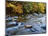 Autumn Beside the Cold River, Savoy State Forest Massachusetts, USA-Jaynes Gallery-Mounted Photographic Print