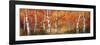 Autumn Birch I-Art Fronckowiak-Framed Art Print