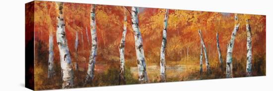 Autumn Birch I-Art Fronckowiak-Stretched Canvas