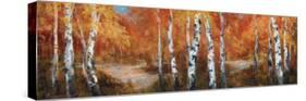 Autumn Birch II-Art Fronckowiak-Stretched Canvas