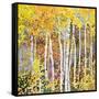 Autumn Birches III-Sharon Pitts-Framed Stretched Canvas