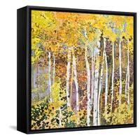 Autumn Birches III-Sharon Pitts-Framed Stretched Canvas