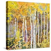 Autumn Birches III-Sharon Pitts-Stretched Canvas